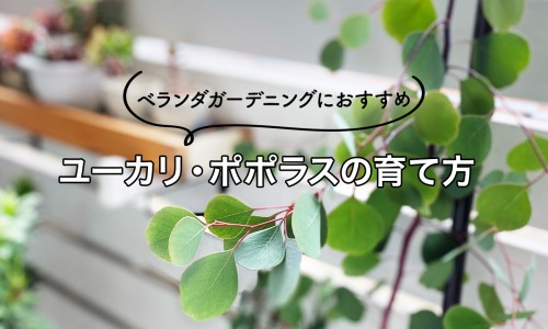 牛奶的脂肪会导致肥胖吗-牛奶会消耗脂肪吗网 - 牛奶的脂肪会导致肥胖吗,牛奶会消耗脂肪吗为什么